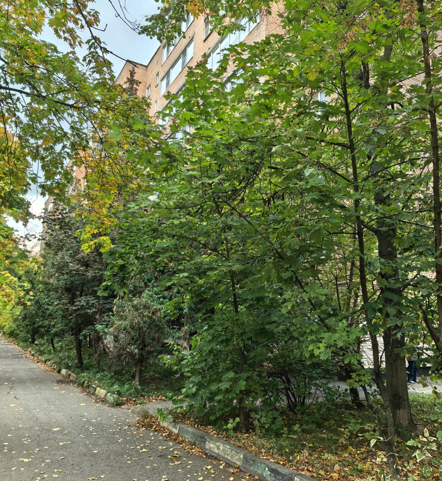 3-комнатная квартира, 63.8 м² - фото 9