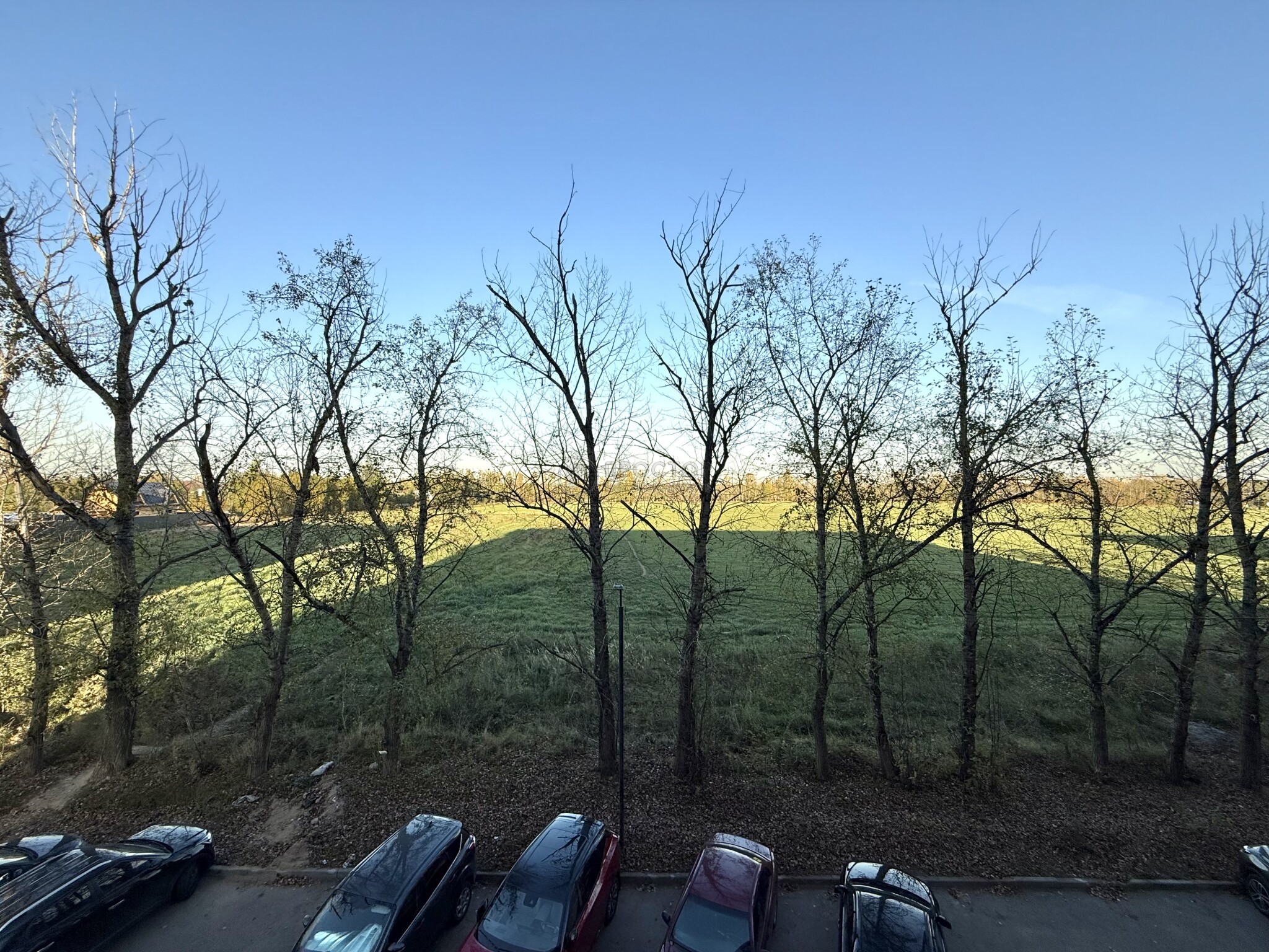 Студия, 29.4 м² - фото 5