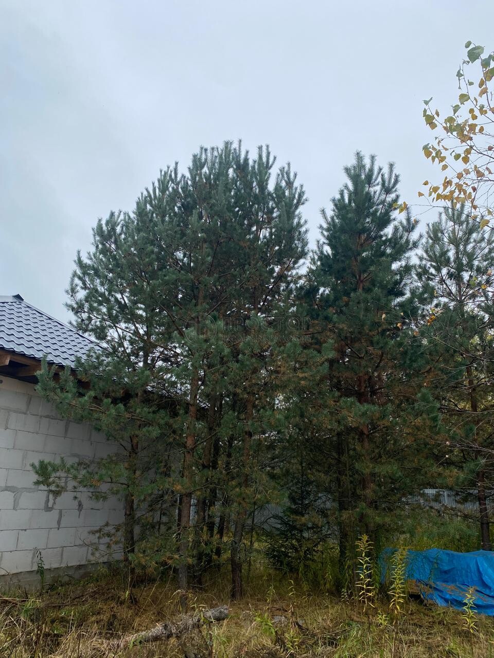 дом, 70 м² - фото 290