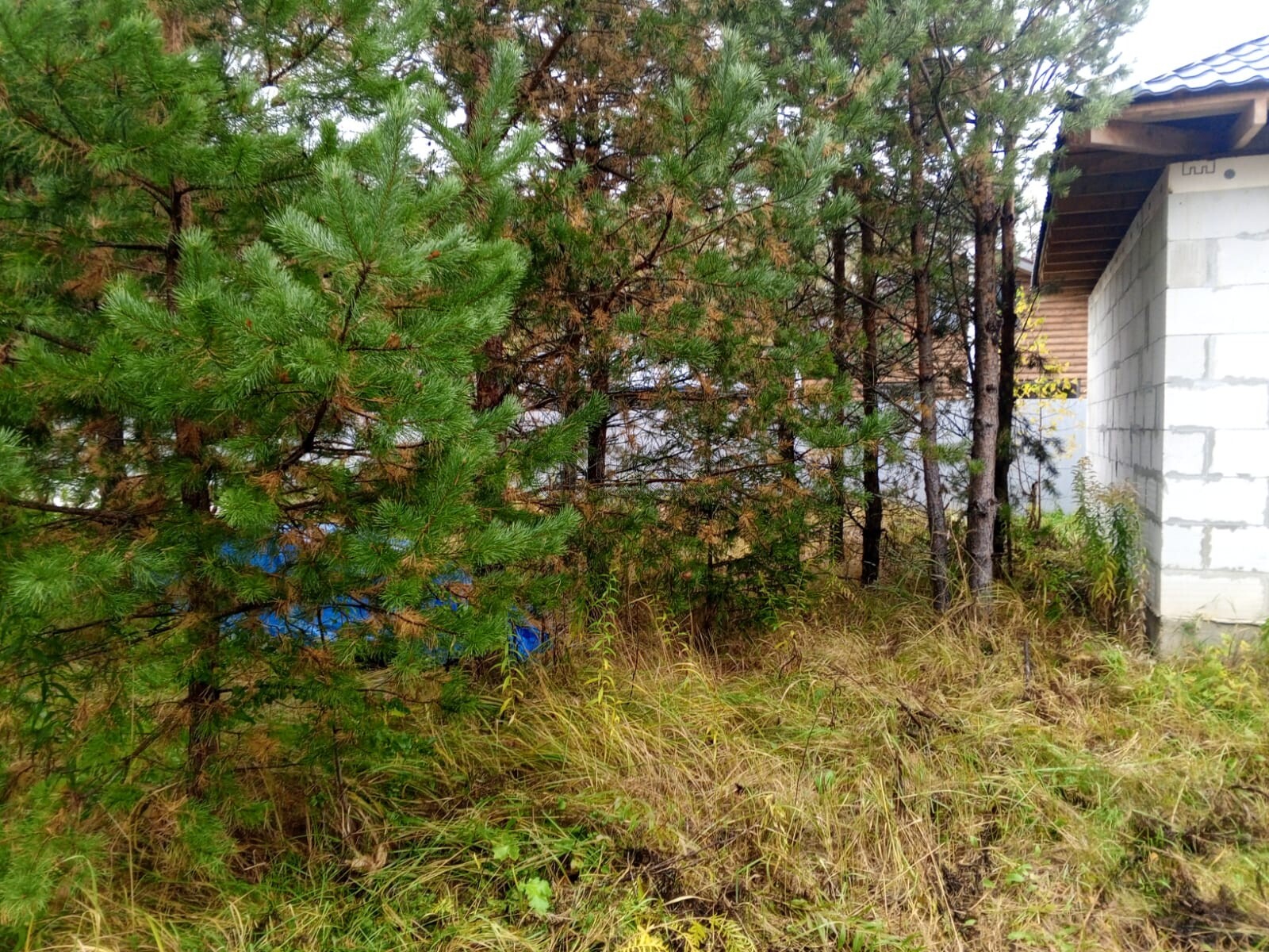 дом, 70 м² - фото 798