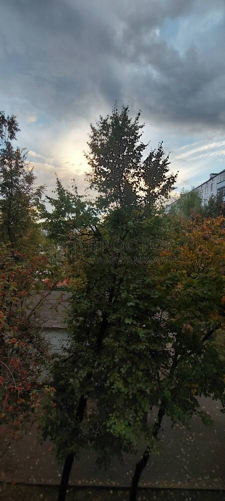 1-комнатная квартира, 32.5 м² - фото 387