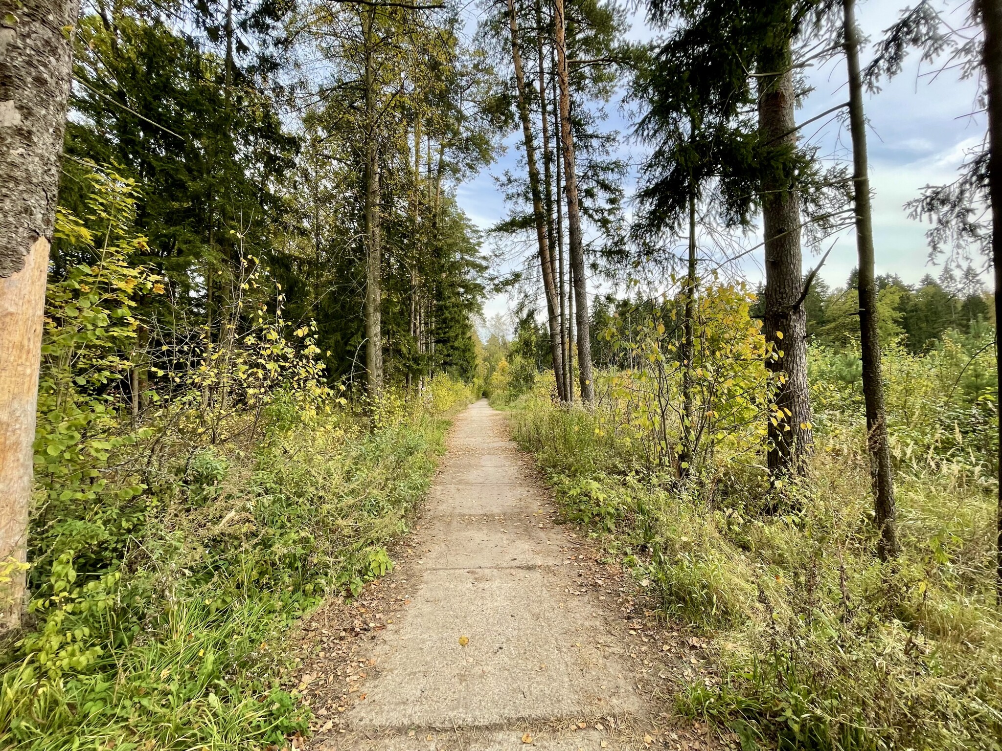 дом, 190 м² - фото 9