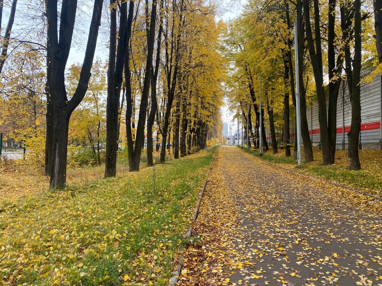 часть дома, 49 м² - фото 12