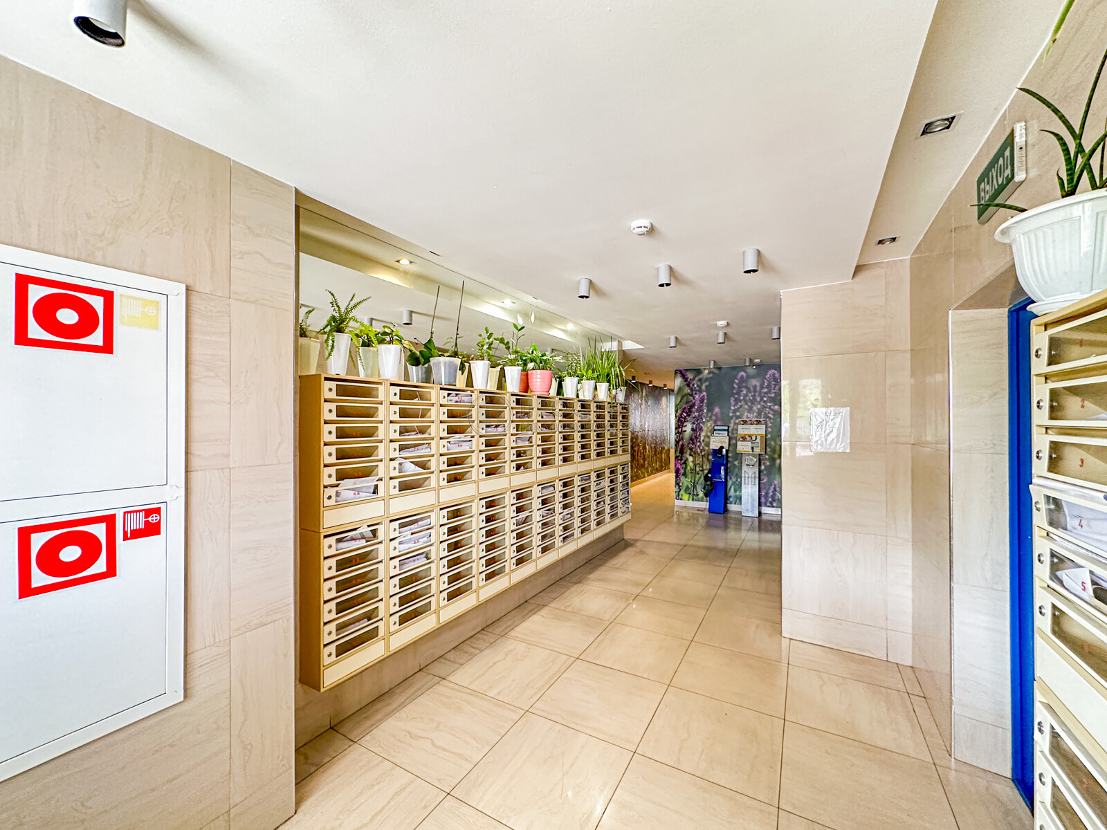 3-комнатная квартира, 66.4 м² - фото 16