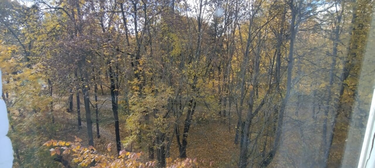 3-комнатная квартира, 76.6 м² - фото 24