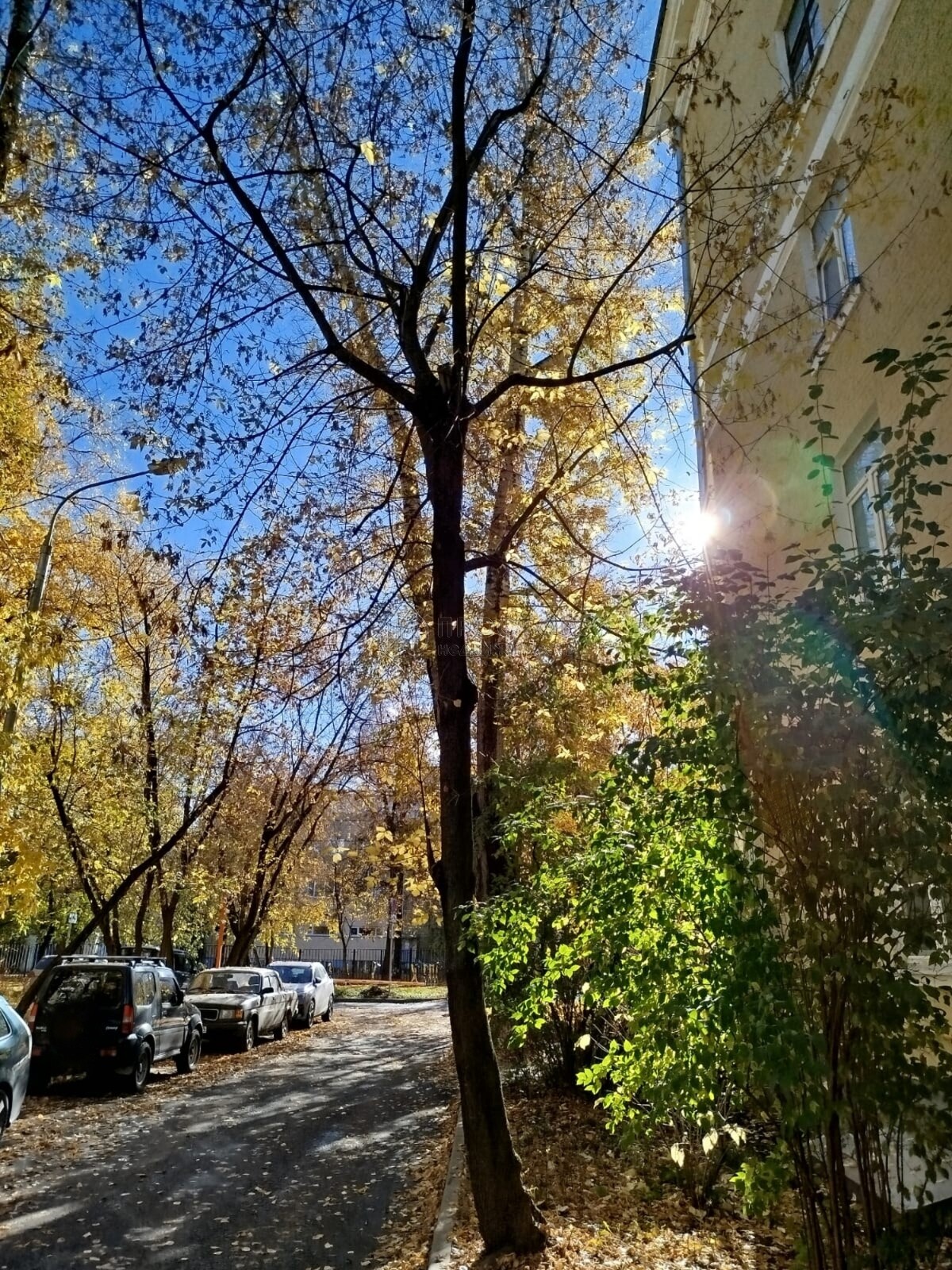 3-комнатная квартира, 76.6 м² - фото 25