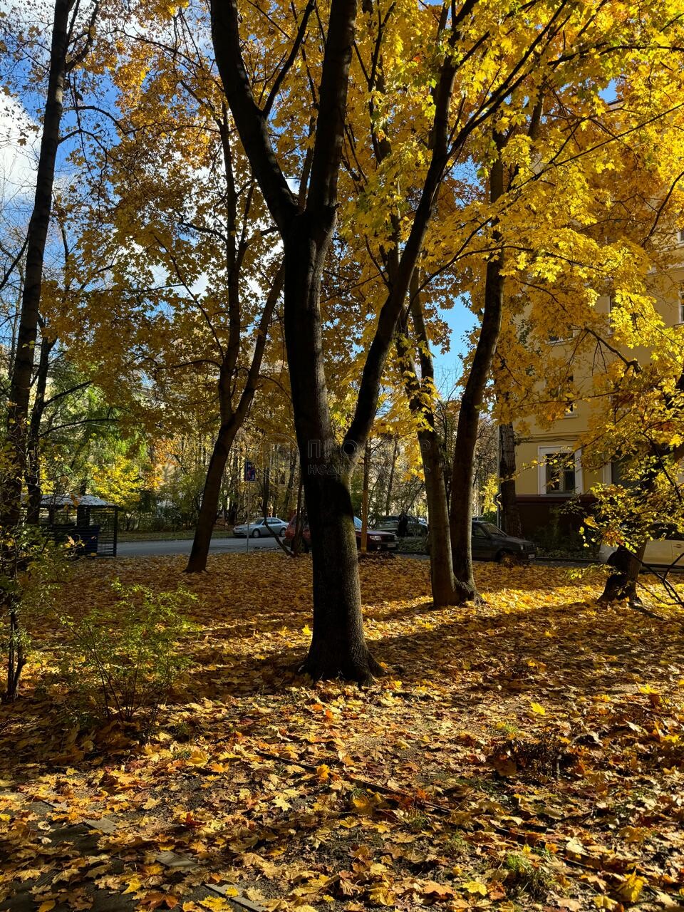 2-комнатная квартира, 42.5 м² - фото 324
