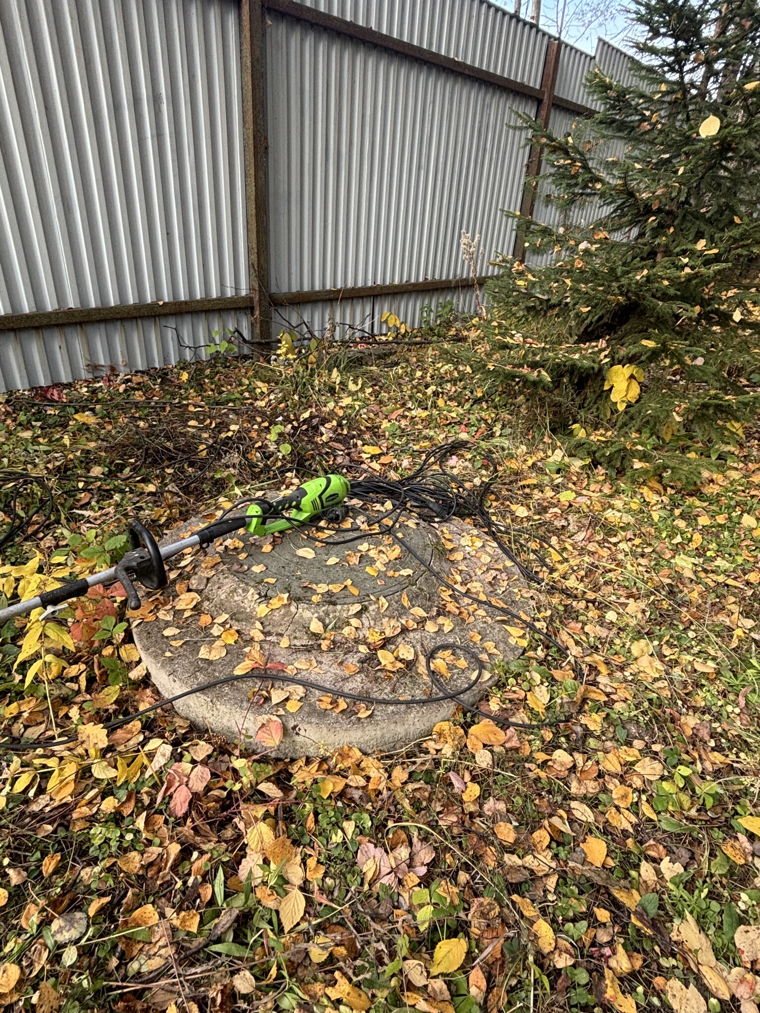 Участок, 4 сот. - фото 4