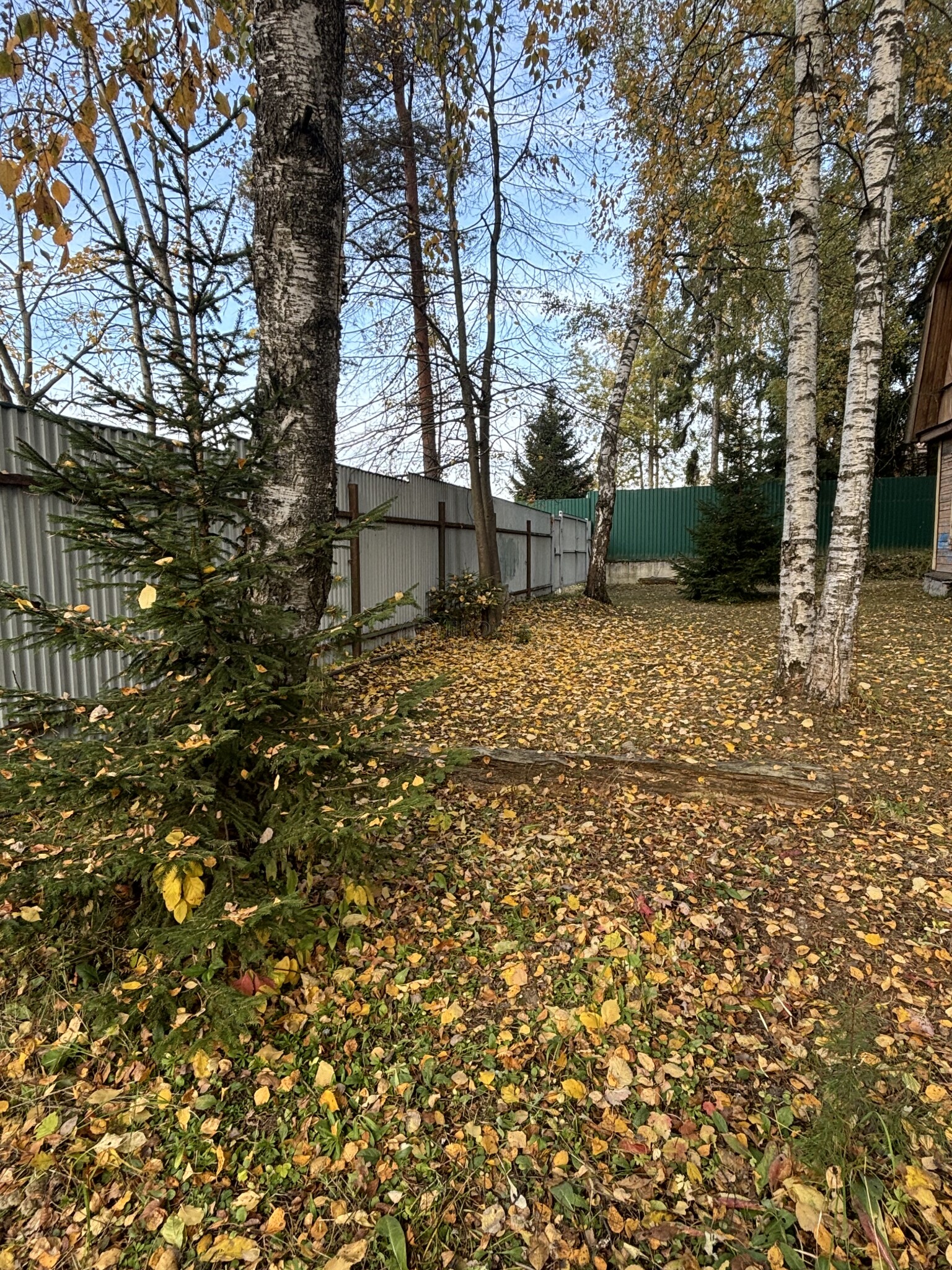 Участок, 4 сот. - фото 5
