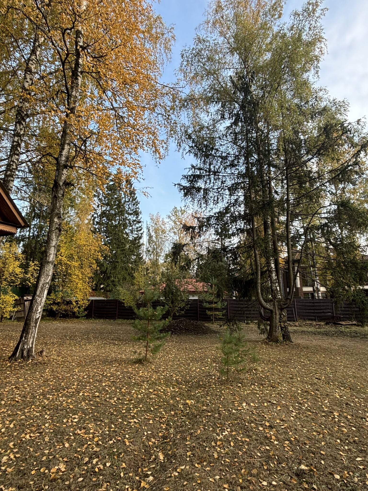 Участок, 4 сот. - фото 6