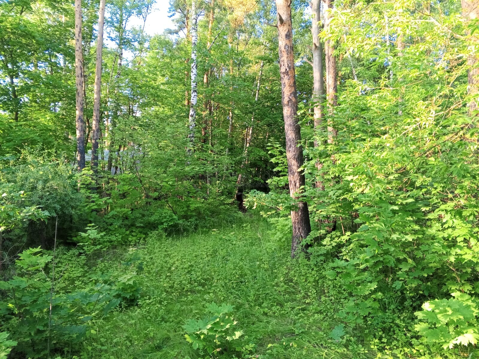 Участок, 5.1 сот. - фото 3