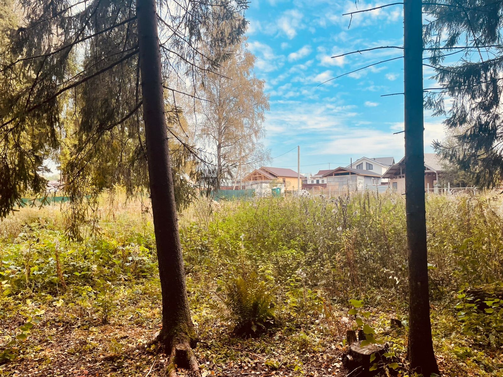 Участок, 15 сот. - фото 5