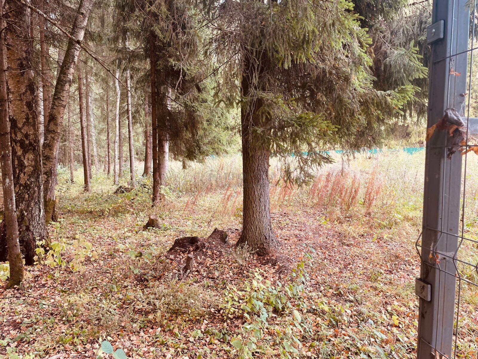 Участок, 15 сот. - фото 6