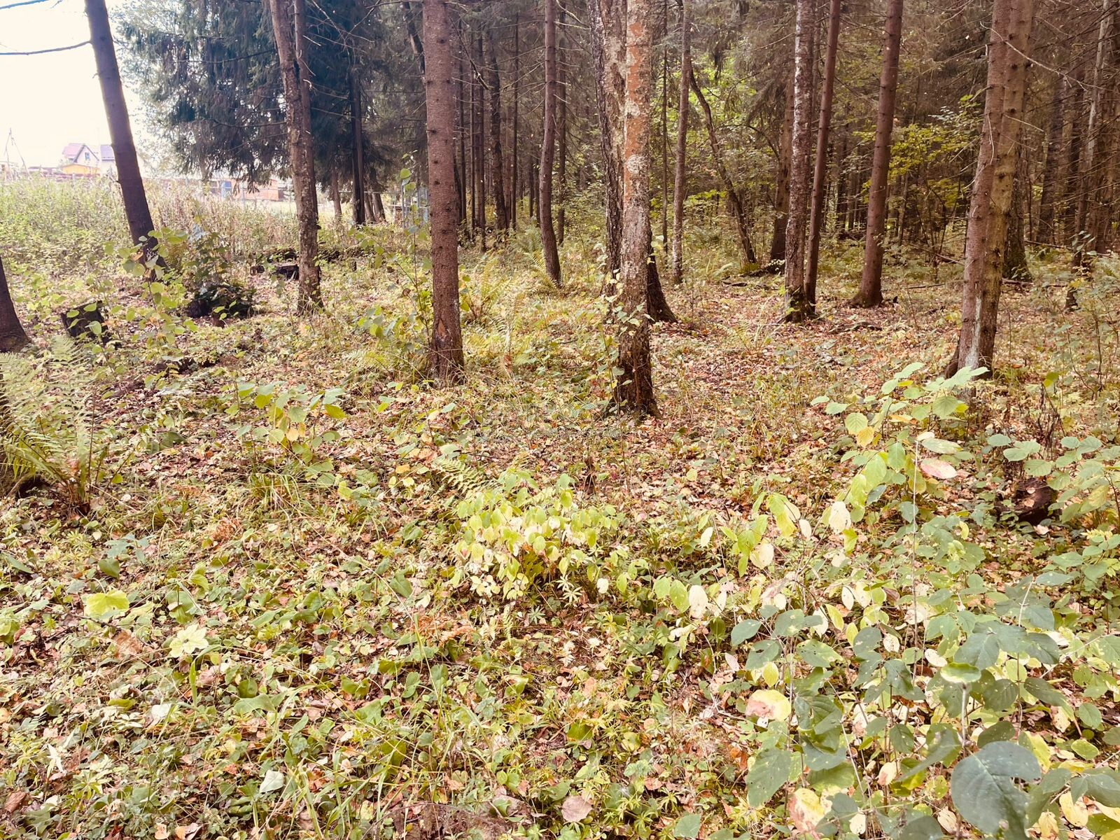 Участок, 15 сот. - фото 7