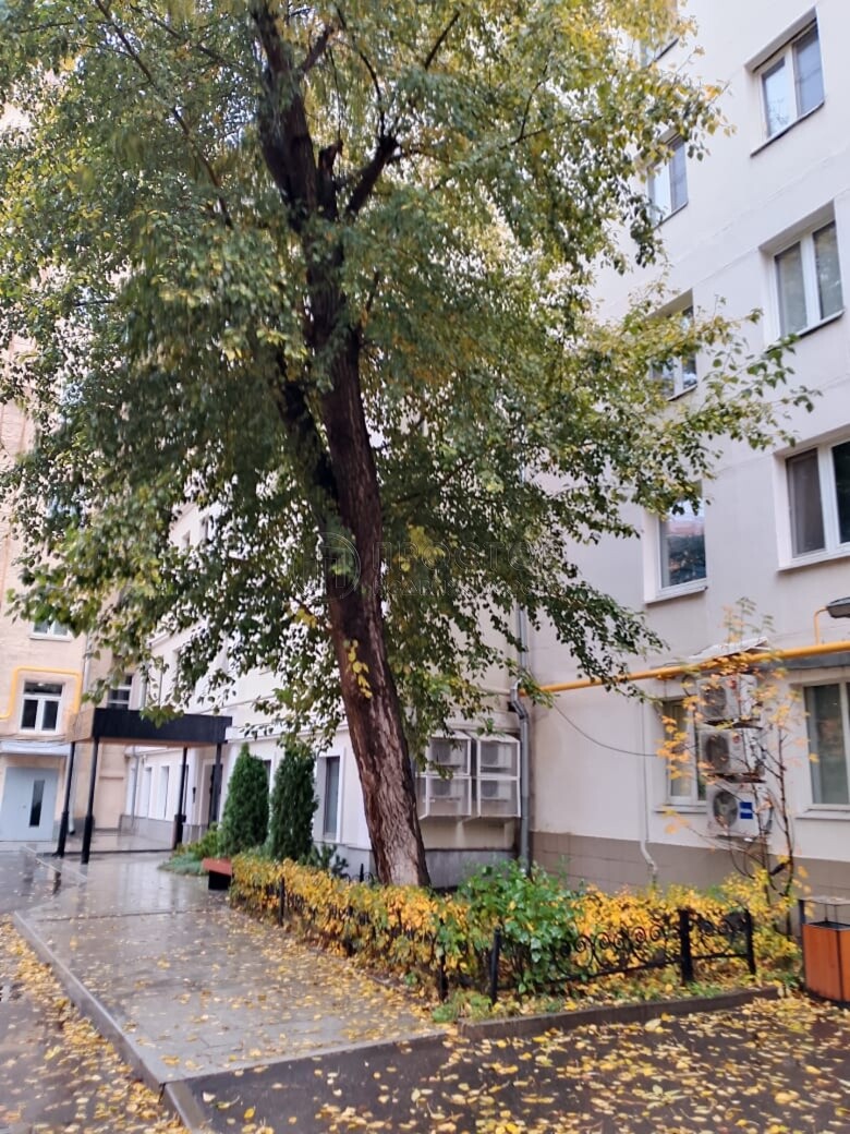Комната, 26.4 м² - фото 10