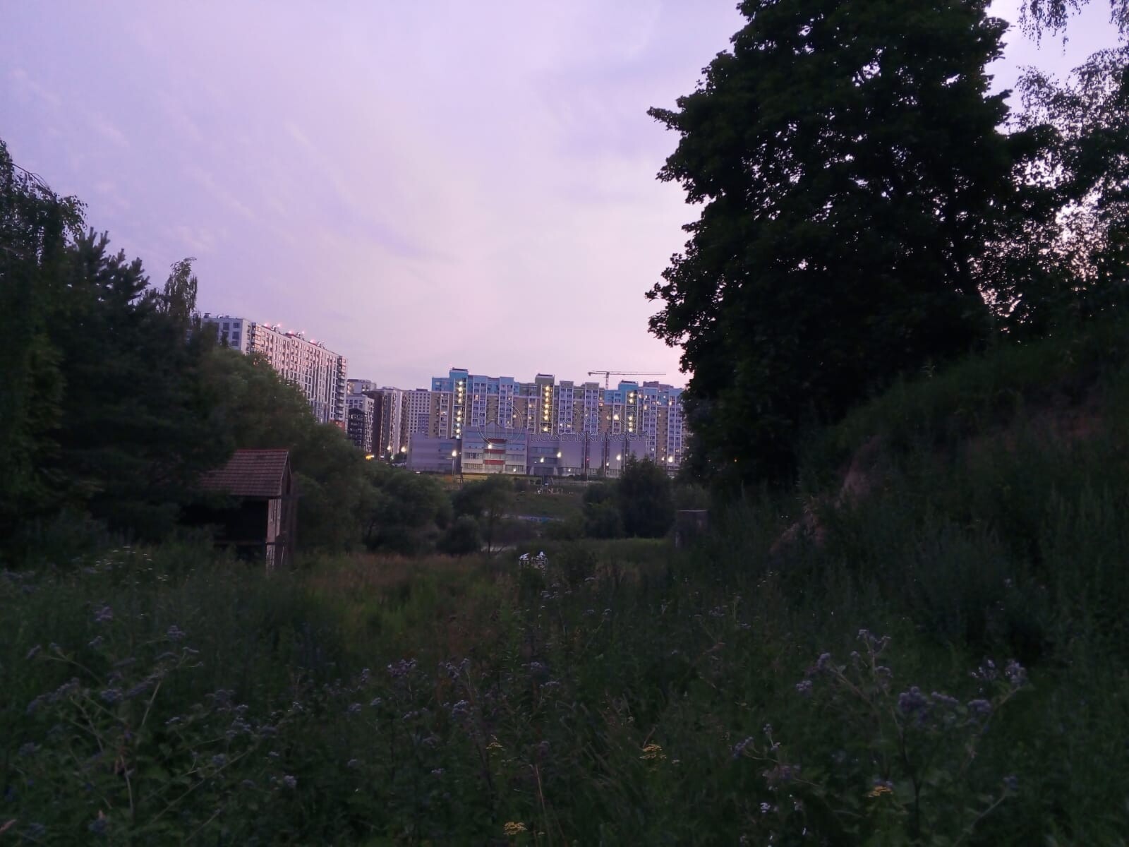 Участок, 5 сот. - фото 4