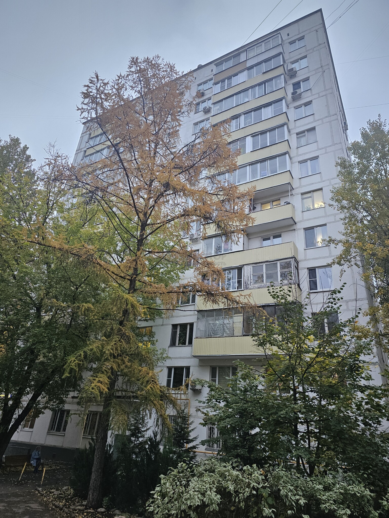2-комнатная квартира, 46 м² - фото 2