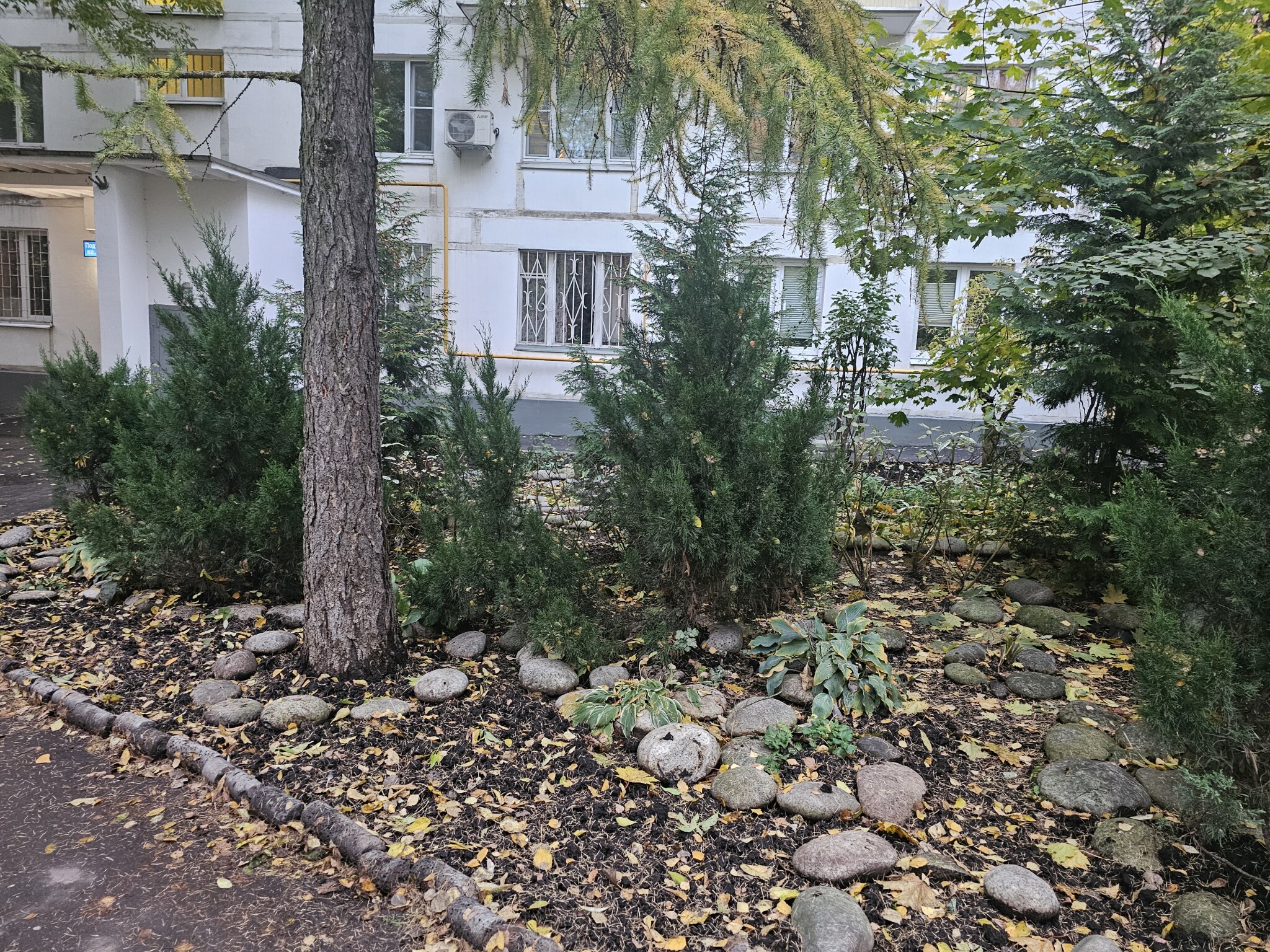 2-комнатная квартира, 46 м² - фото 3