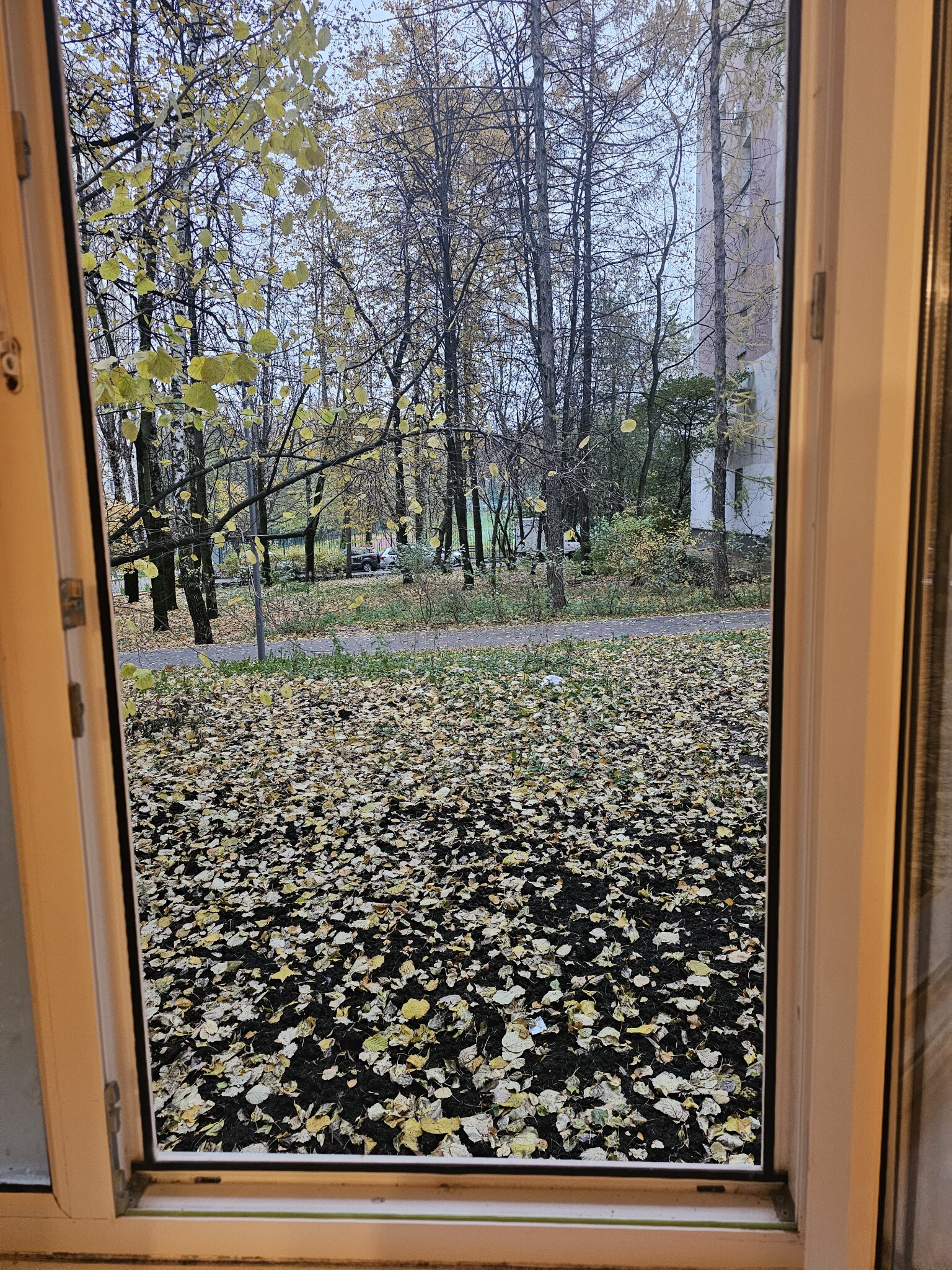 2-комнатная квартира, 46 м² - фото 9