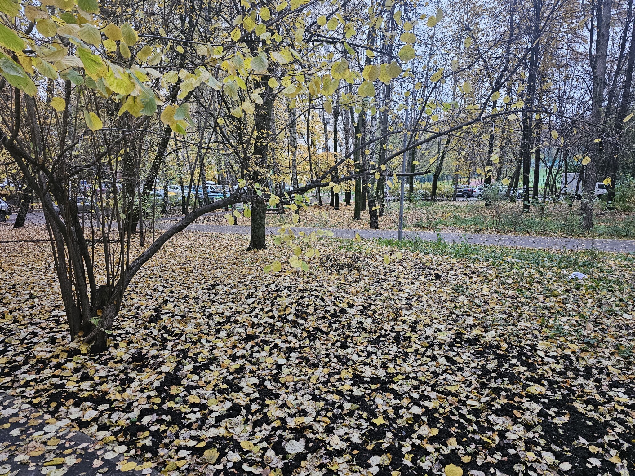 2-комнатная квартира, 46 м² - фото 10