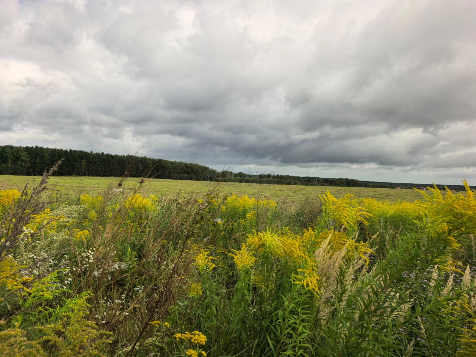 -комнатная квартира,  м.кв.
