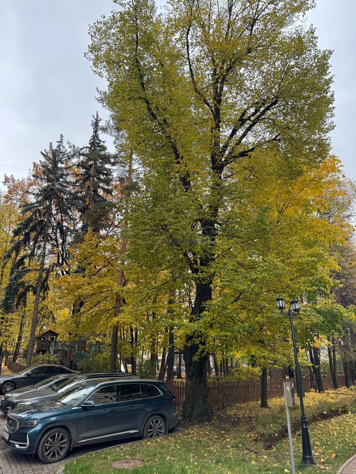 4-комнатная квартира, 191.2 м² - фото 43