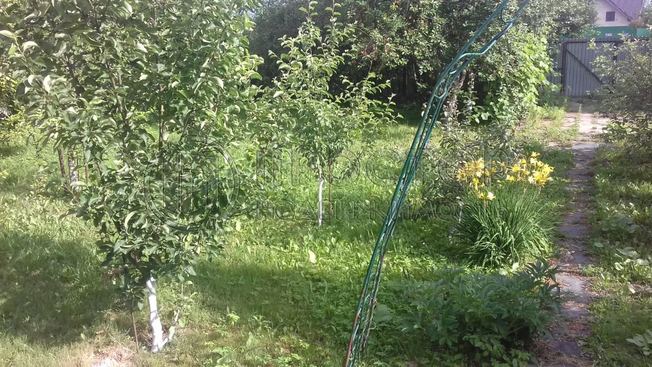 Участок, 8 сот. - фото 5