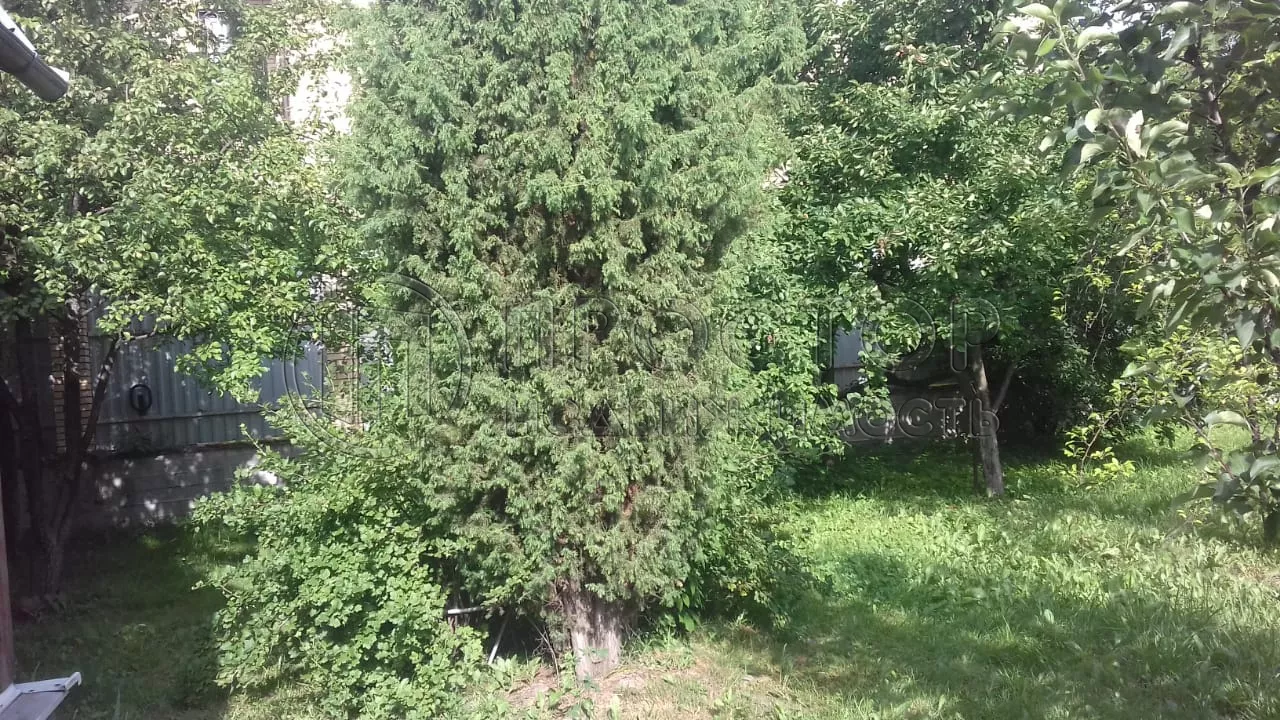 Участок, 8 сот. - фото 23