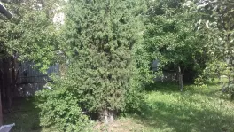 Участок, 8 сот. - фото 47