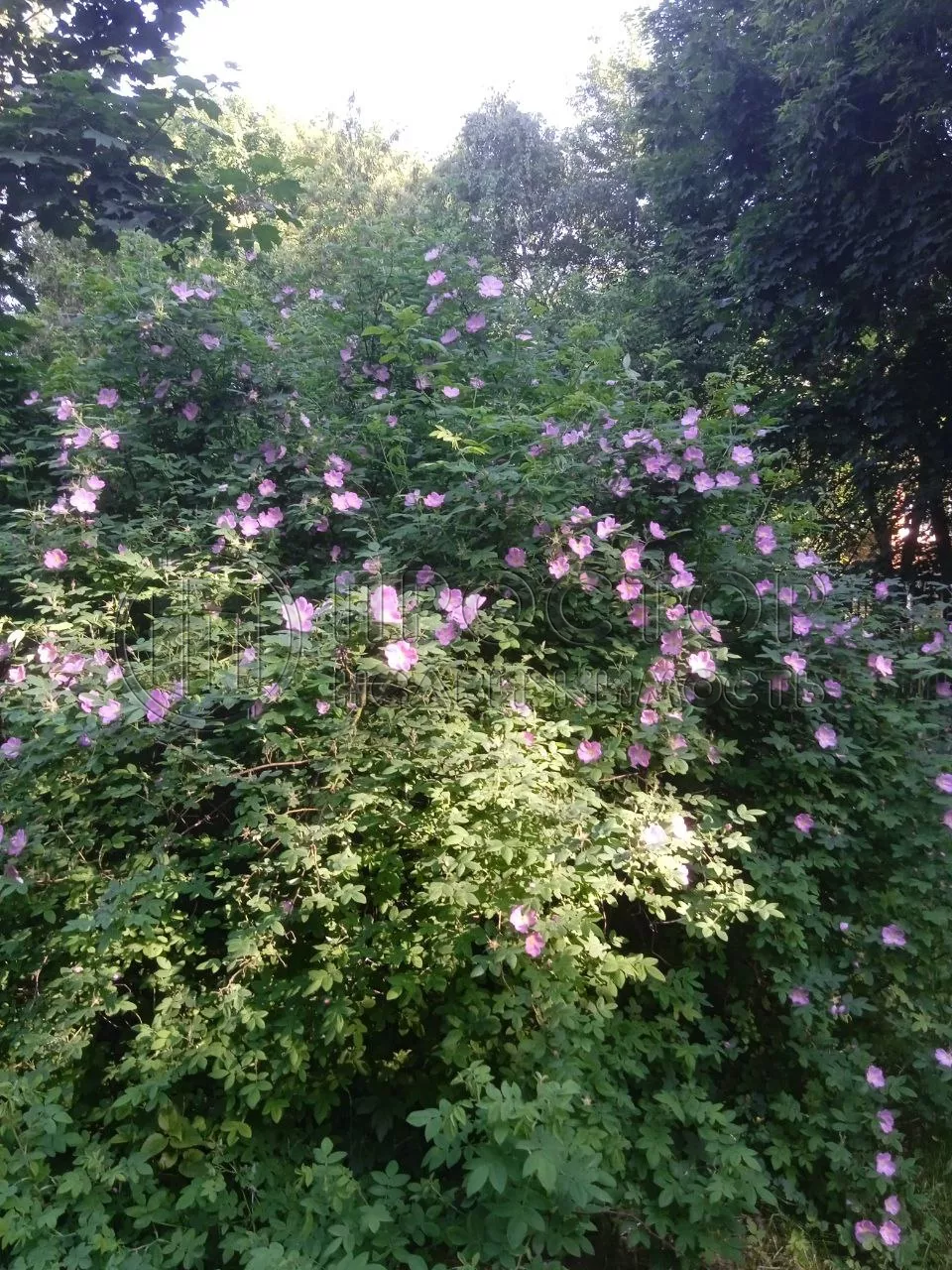 2-комнатная квартира, 43 м² - фото 20