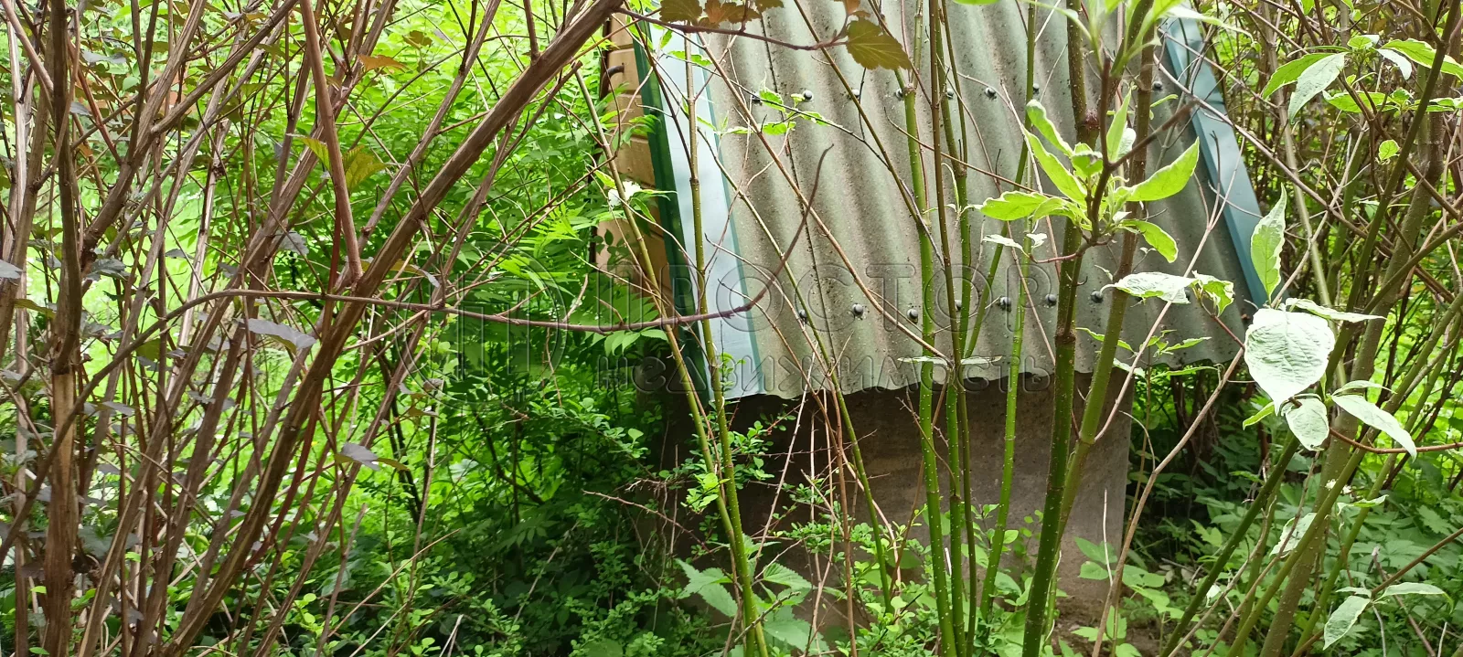 Дом, 42.8 м² - фото 23