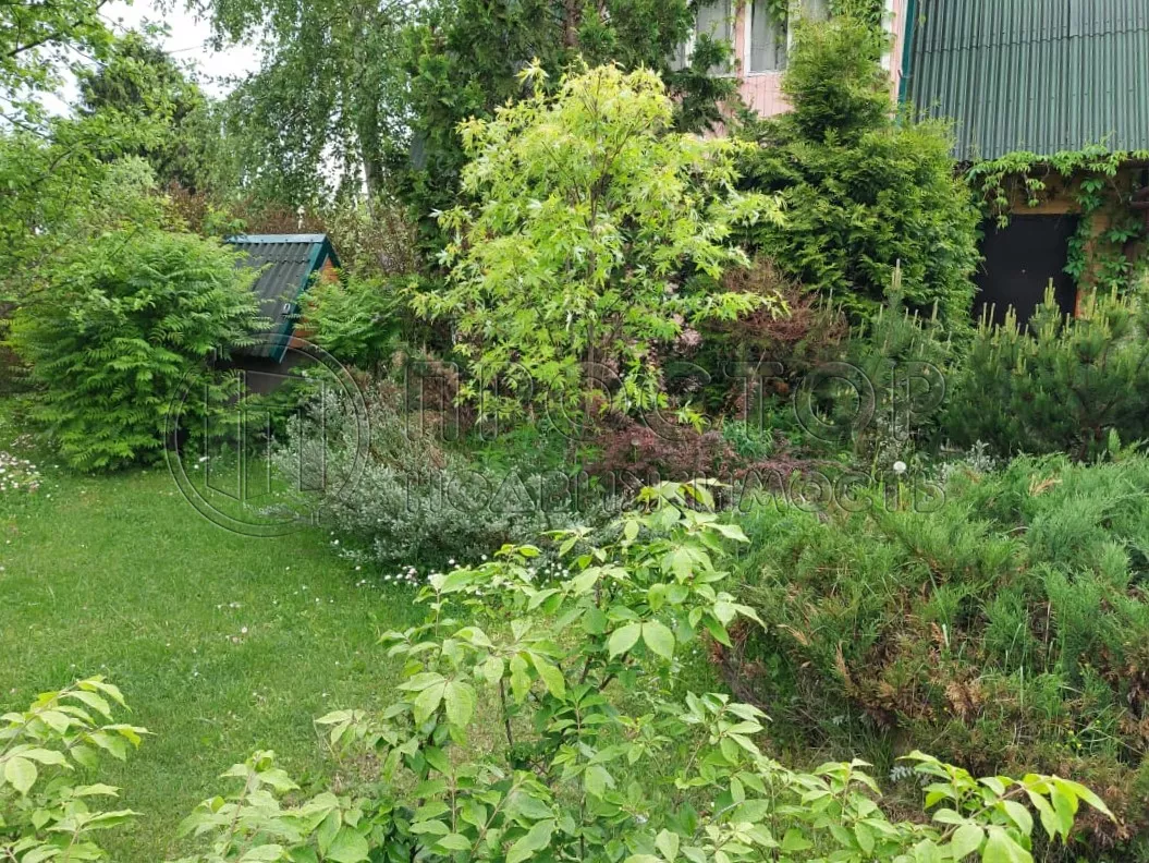 Дом, 43 м² - фото 15