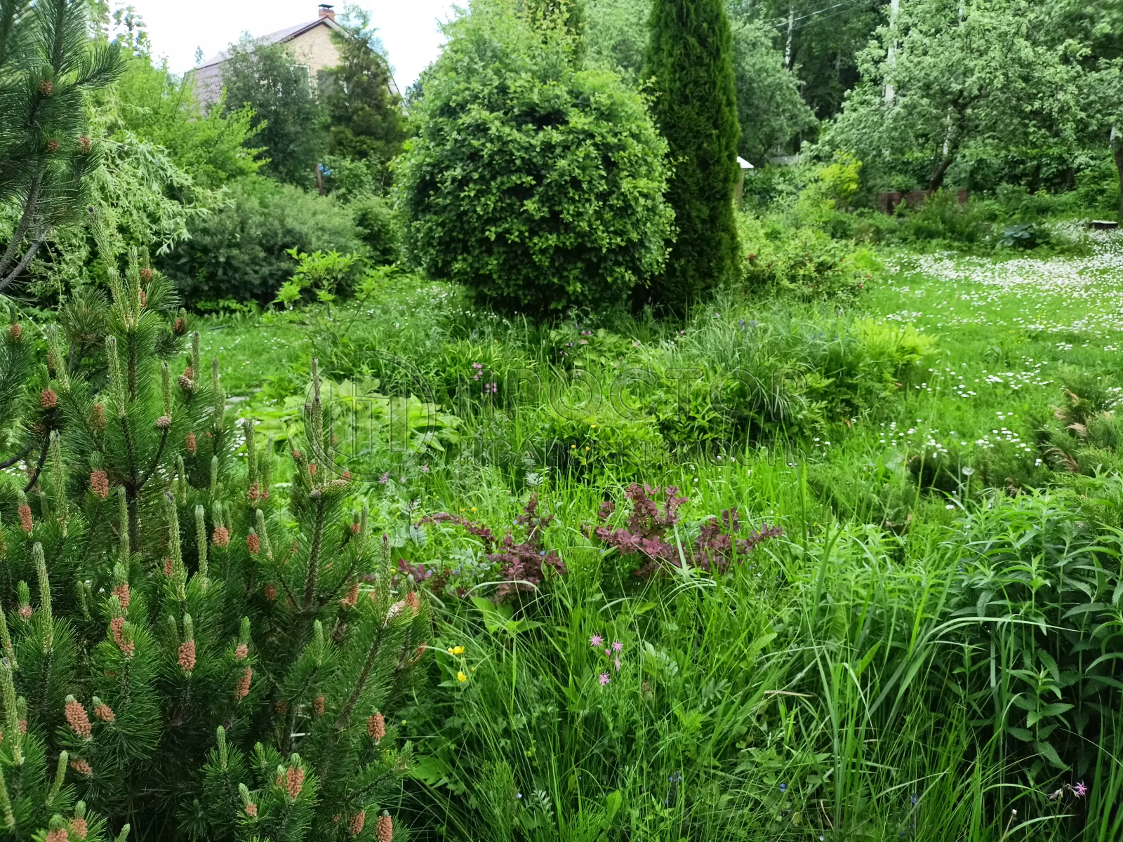 Дом, 43 м² - фото 61