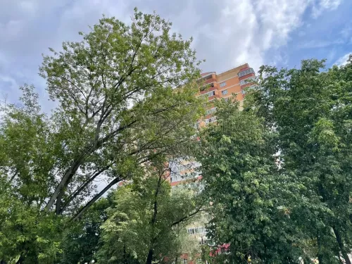 2-комнатная квартира, 71 м² - фото 38
