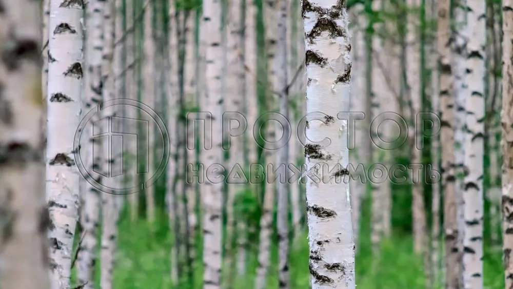 Дом, 302.6 м² - фото 40