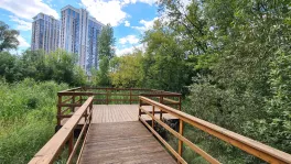 2-комнатная квартира, 70.2 м² - фото 209
