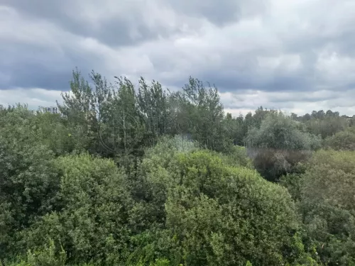 Дом, 49.7 м² - фото 43