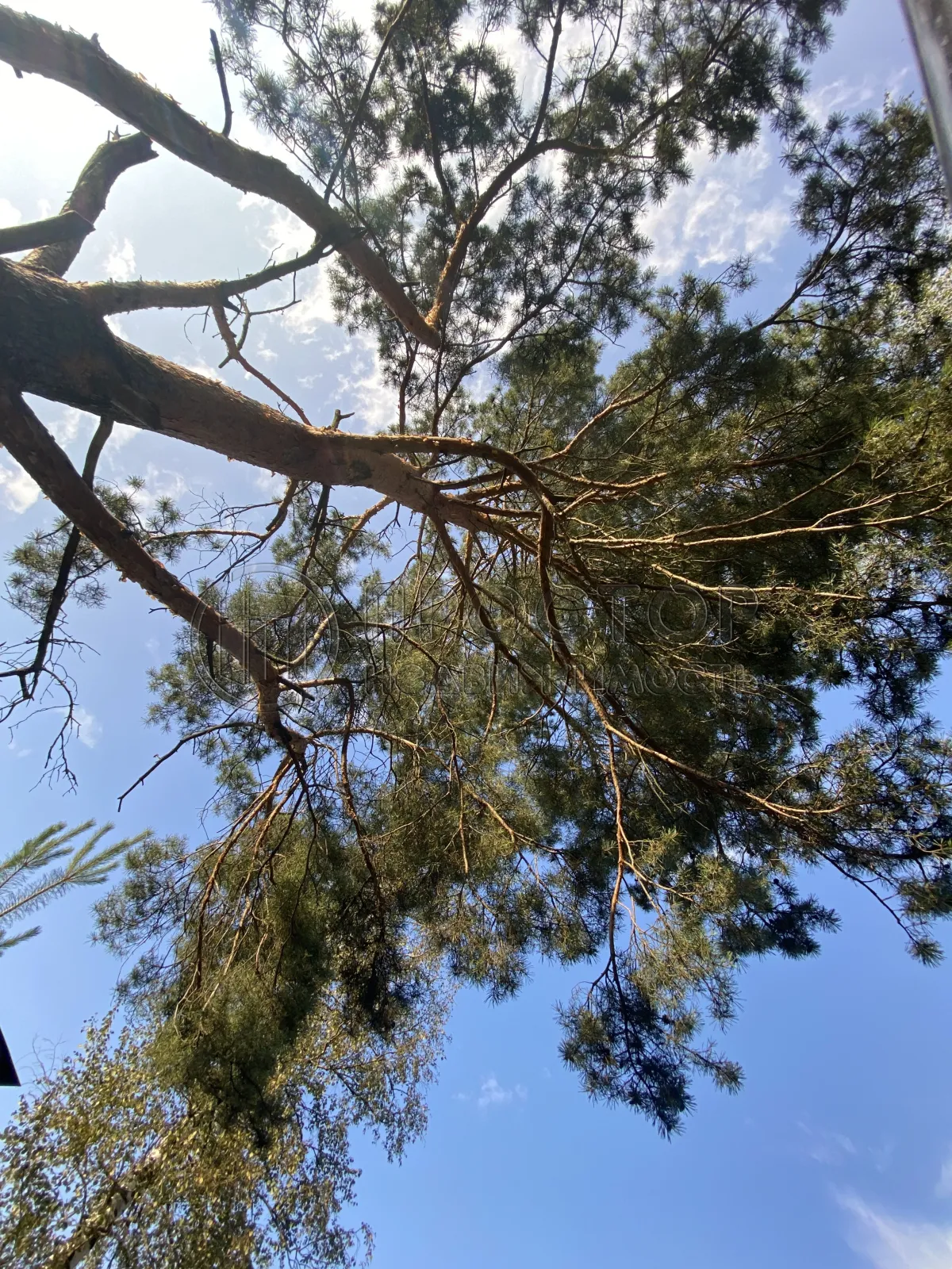 3-комнатная квартира, 85.8 м² - фото 21