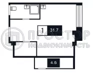 Студия, 31.7 м² - фото 6
