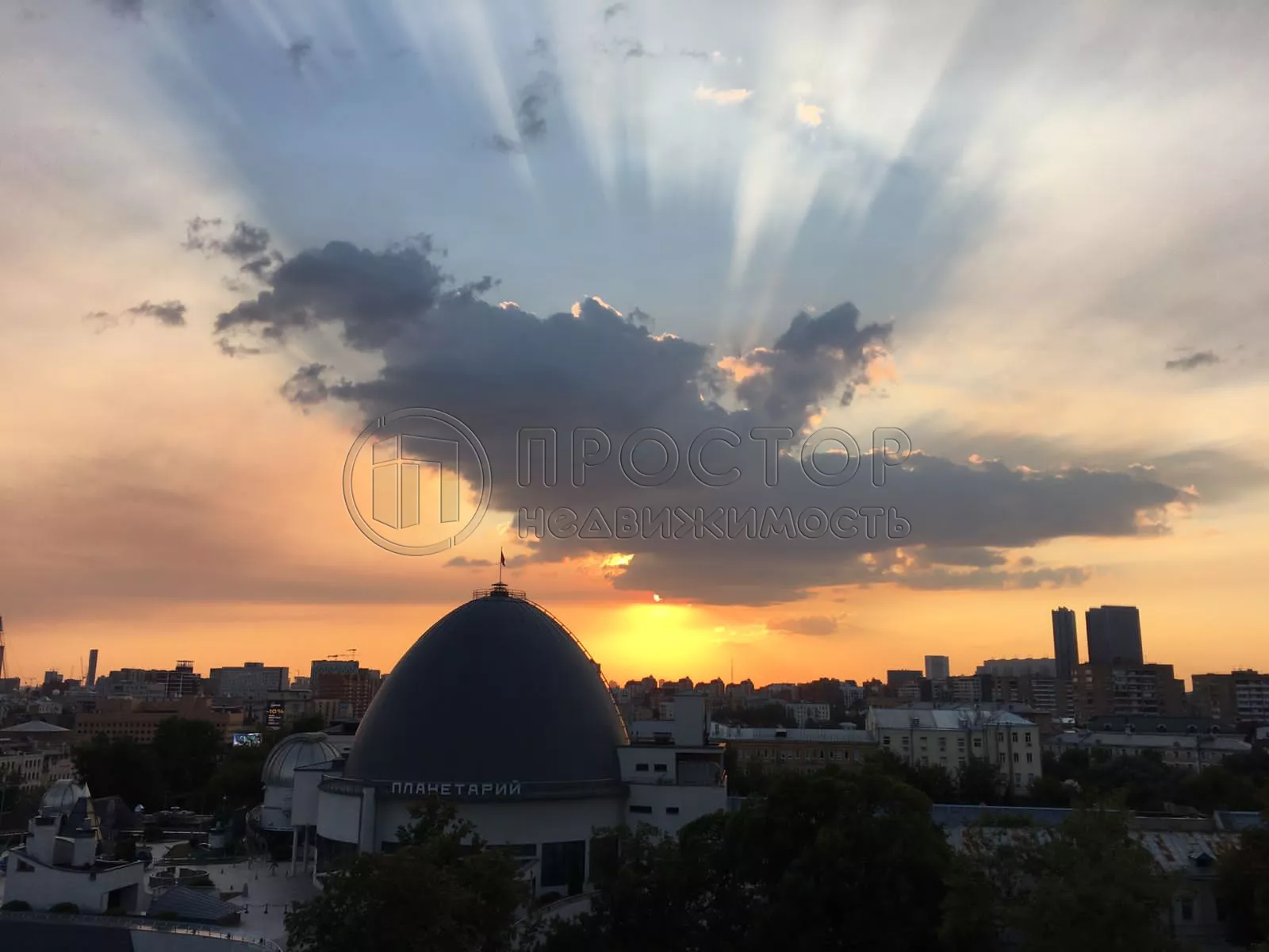 3-комнатная квартира, 81 м² - фото 6