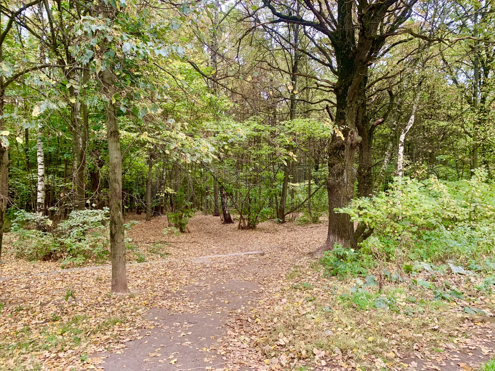 2-комнатная квартира, 61 м² - фото 79