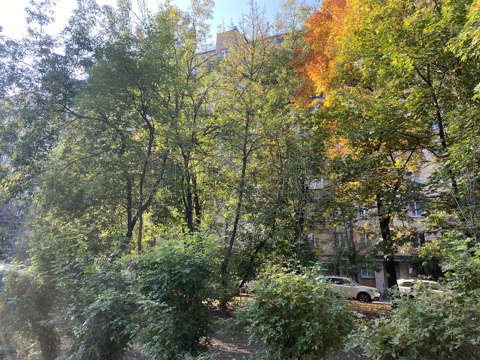 3-комнатная квартира, 56 м² - фото 39