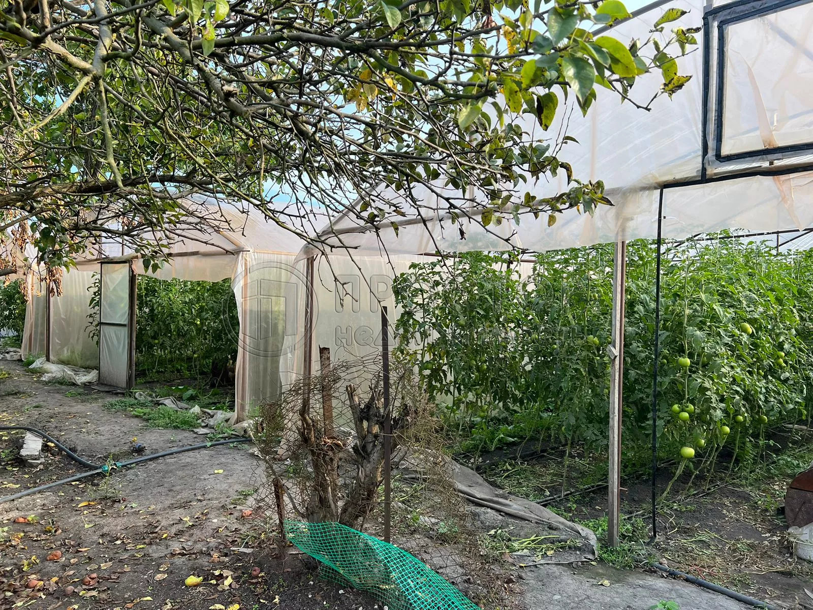 Участок, 19 сот. - фото 3