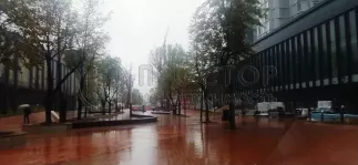 1-комнатная квартира, 44.69 м² - фото 17