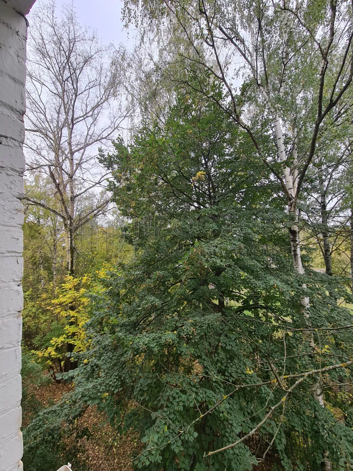 1-комнатная квартира, 23 м² - фото 30