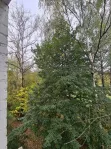 1-комнатная квартира, 23 м² - фото 60
