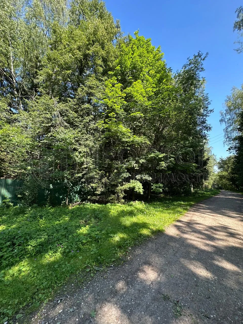 Участок, 52 сот. - фото 2