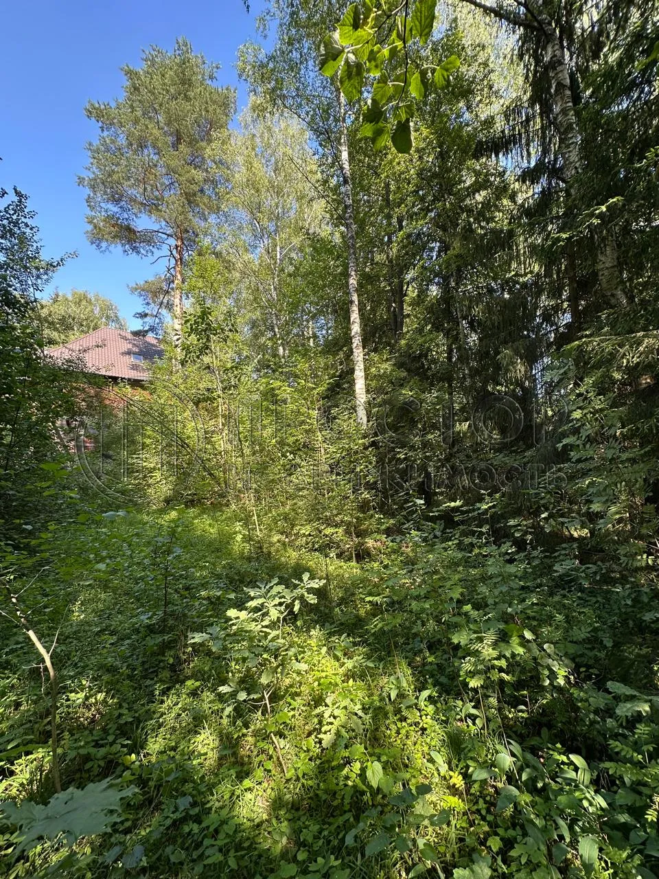 Участок, 52 сот. - фото 4