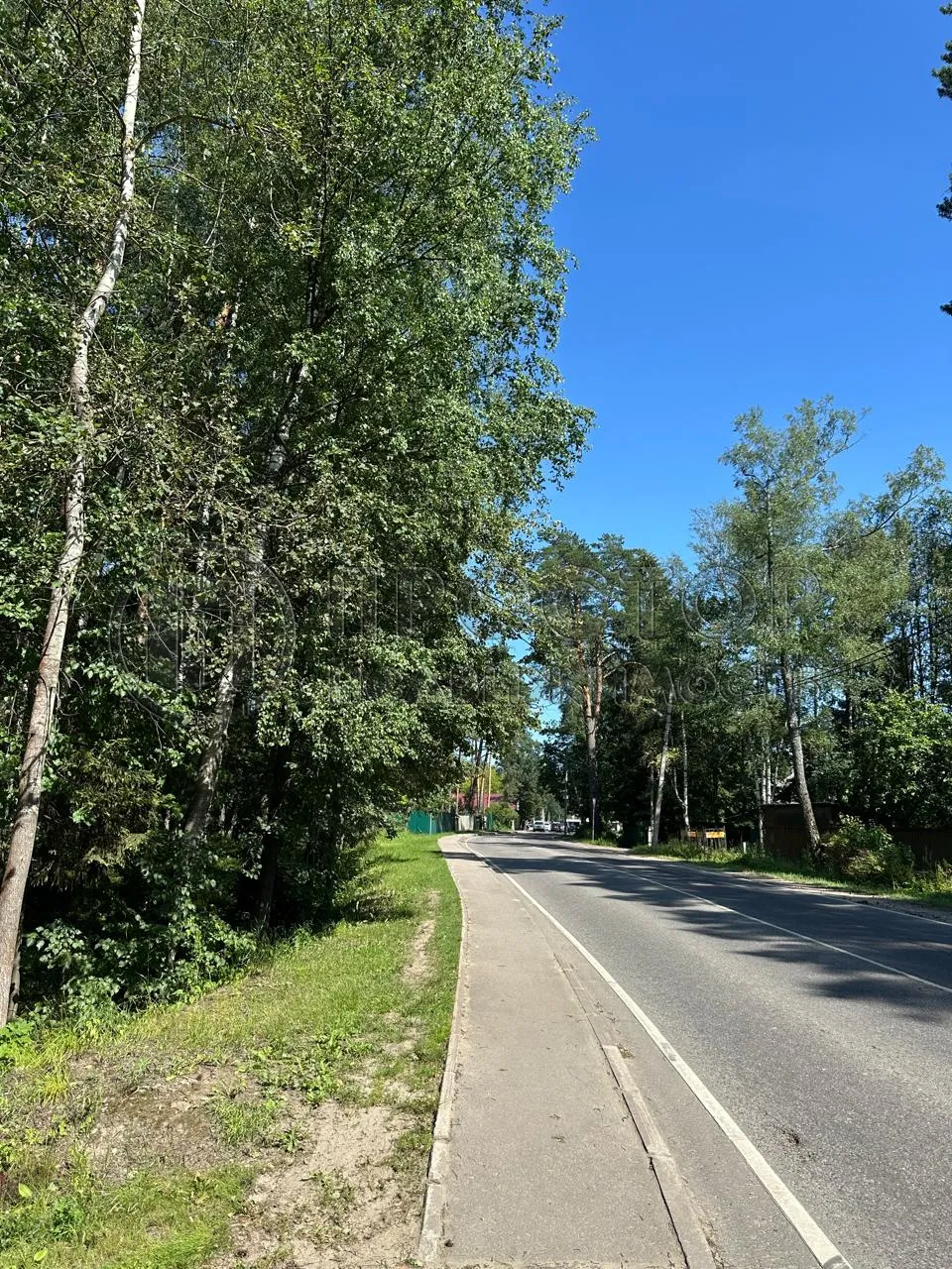 Участок, 52 сот. - фото 5