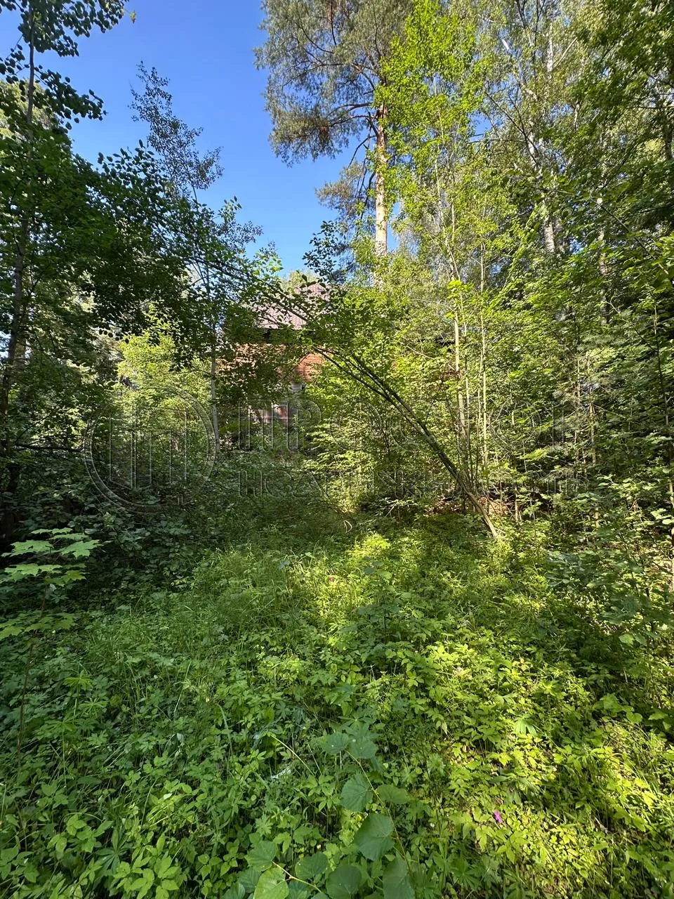 Участок, 52 сот. - фото 7